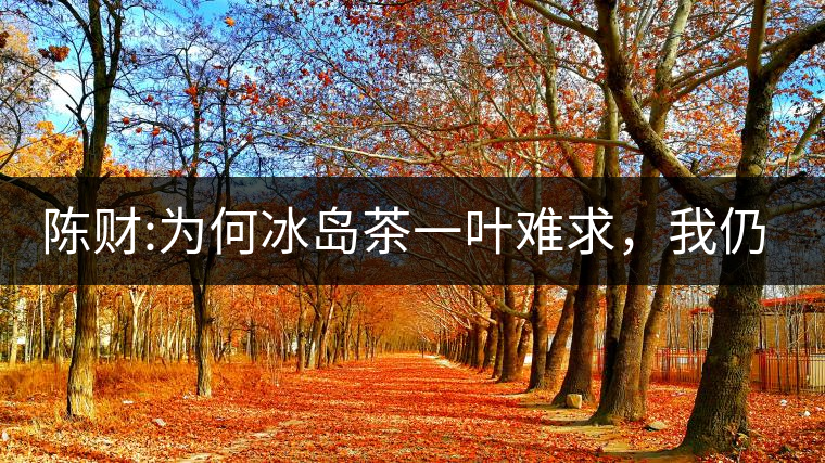 陳財(cái):為何冰島茶一葉難求，我仍然堅(jiān)持