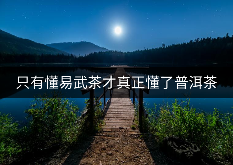 只有懂易武茶才真正懂了普洱茶