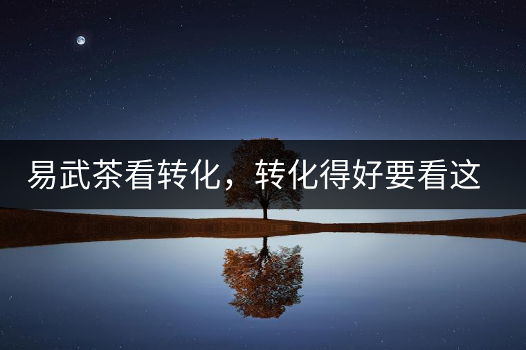 易武茶看轉(zhuǎn)化，轉(zhuǎn)化得好要看這三要素及品牌優(yōu)勢(shì)！