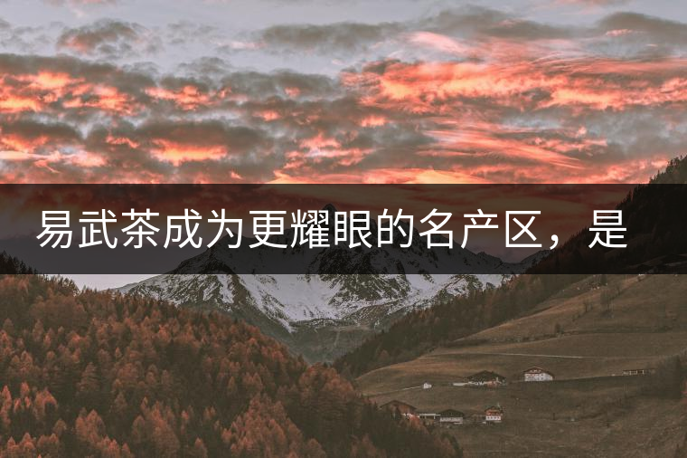 易武茶成為更耀眼的名產(chǎn)區(qū)，是歷史的回歸，是未來市場(chǎng)的必然導(dǎo)向