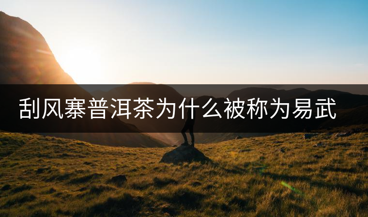 刮風(fēng)寨普洱茶為什么被稱為易武茶王？