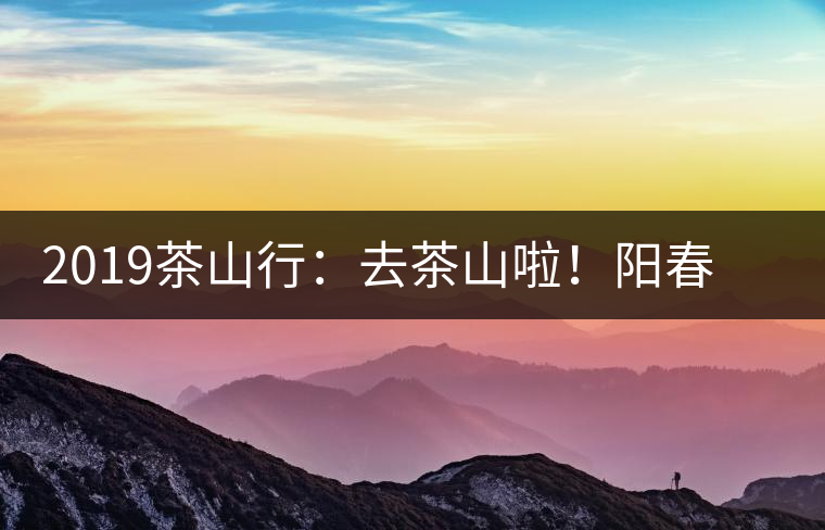2019茶山行：去茶山啦！陽春三月，和南茗佳人一起上山喝好茶！