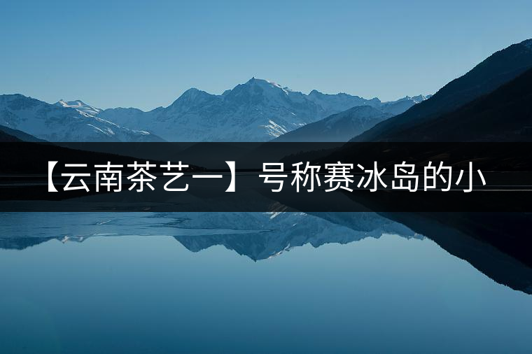 【云南茶藝一】號稱賽冰島的小戶賽憑什么！今天帶大家一起研究下