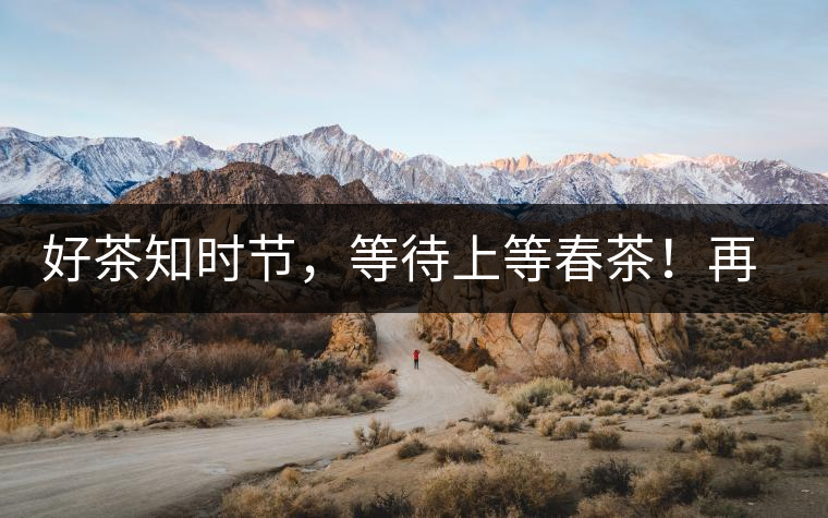 好茶知時(shí)節(jié)，等待上等春茶！再來回味這些年喝過的小戶賽古樹春茶