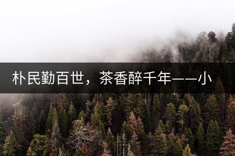 樸民勤百世，茶香醉千年——小戶(hù)賽古寨