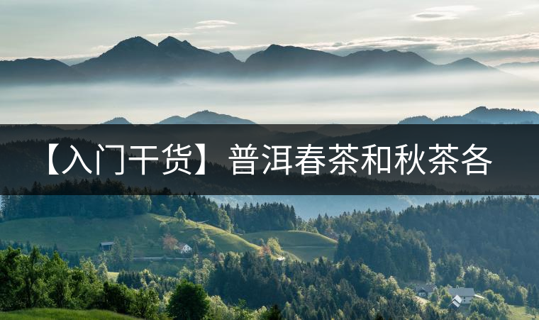 【入門干貨】普洱春茶和秋茶各有什么特點(diǎn)？怎樣辨識(shí)？