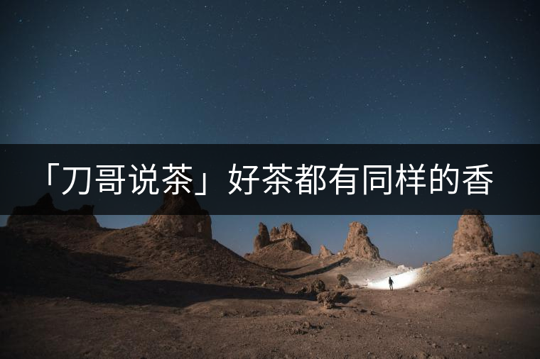 「刀哥說茶」好茶都有同樣的香，破茶卻有不同的味