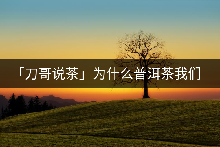 「刀哥說茶」為什么普洱茶我們情愿選三無？