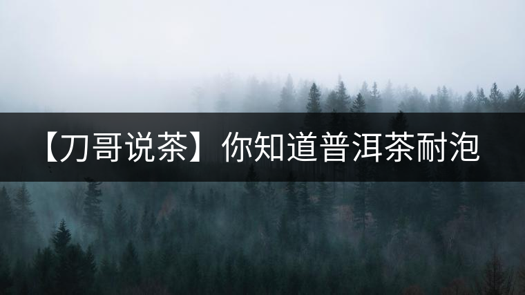 【刀哥說茶】你知道普洱茶耐泡，那你知道哪一類普洱茶比較耐泡？