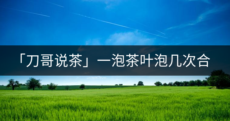 「刀哥說(shuō)茶」一泡茶葉泡幾次合適?「刀哥說(shuō)茶」一泡茶葉泡幾次合適？