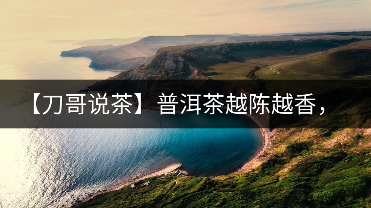 【刀哥說茶】普洱茶越陳越香，為什么新茶更受歡迎？