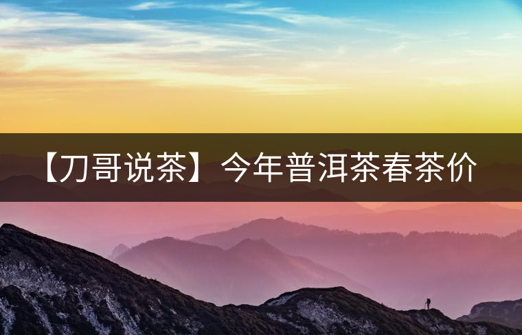 【刀哥說(shuō)茶】今年普洱茶春茶價(jià)格，我不預(yù)測(cè)