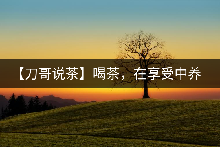 【刀哥說(shuō)茶】喝茶，在享受中養(yǎng)生的最佳選擇