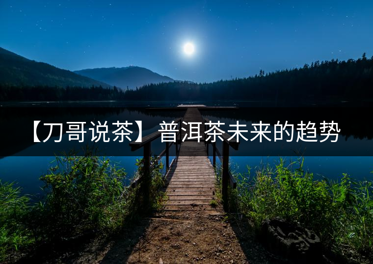 【刀哥說茶】普洱茶未來的趨勢，我看好熟茶