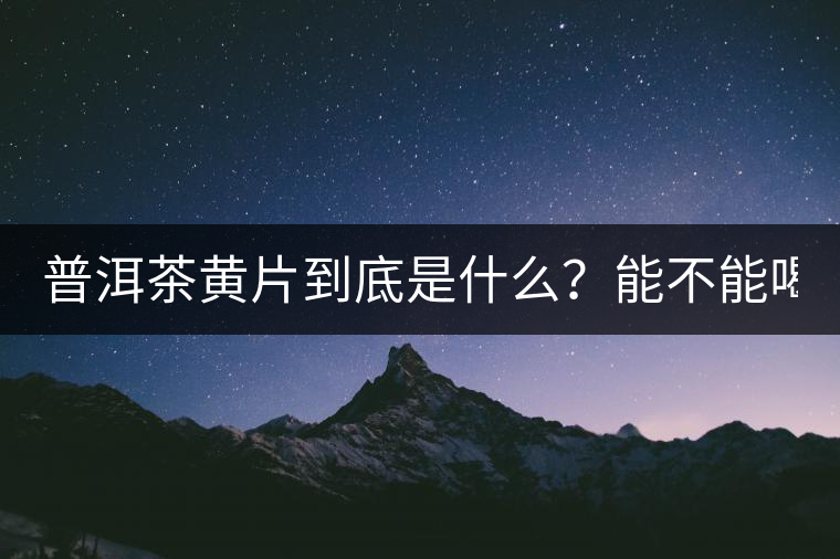 普洱茶黃片到底是什么？能不能喝？