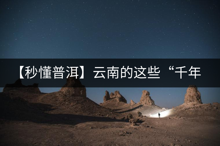 【秒懂普洱】云南的這些“千年茶樹(shù)王”,你都知道嗎?