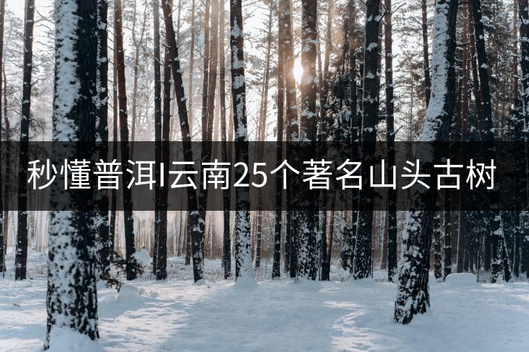 秒懂普洱I云南25個(gè)著名山頭古樹普洱茶的特點(diǎn)及口感!(太全了,快收藏!) 秒懂普洱I云南25個(gè)著名山頭古樹普洱茶的特點(diǎn)及口感!(太全了,快收藏!)