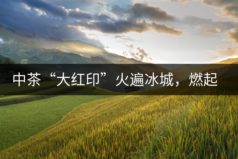 中茶“大紅印”火遍冰城，燃起普洱茶新味蕾