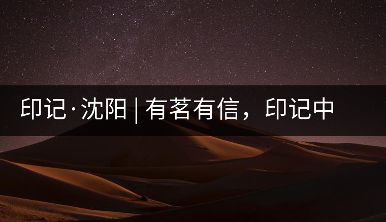 印記·沈陽(yáng) | 有茗有信，印記中茶，中茶普洱亮相沈陽(yáng)茶博會(huì)
