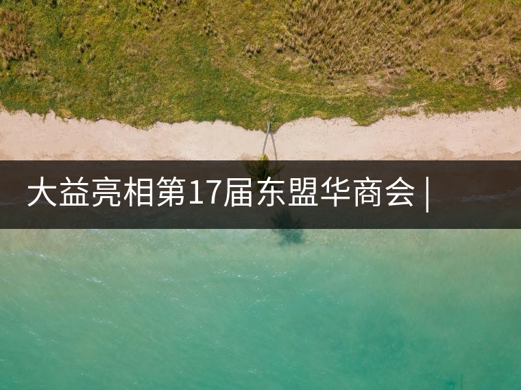 大益亮相第17屆東盟華商會 | 海內(nèi)外嘉賓共謀發(fā)展，共品大益茶