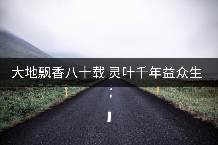 大地飄香八十載 靈葉千年益眾生——記云南大益茶業(yè)集團