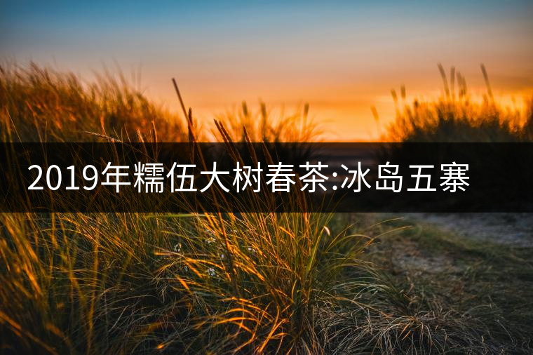 2019年糯伍大樹春茶:冰島五寨甜柔口感的代表，售價(jià)不...2019年糯伍大樹春茶：冰島五寨甜柔口感的代表，售價(jià)不到500