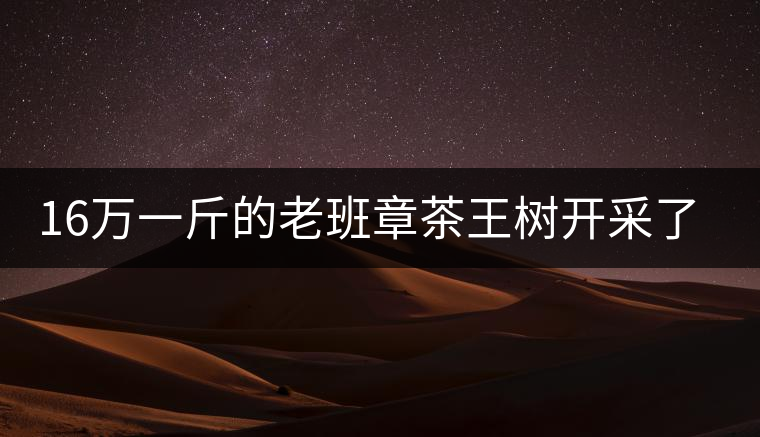 16萬一斤的老班章茶王樹開采了，茶友果斷拉了一車現(xiàn)金去...16萬一斤的老班章茶王樹開采了，茶友果斷拉了一車現(xiàn)金去！