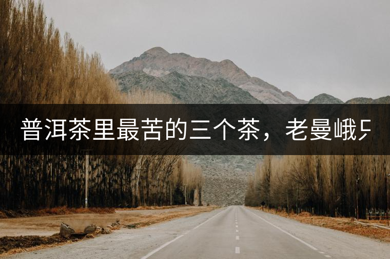 普洱茶里最苦的三個茶，老曼峨只能排第三！