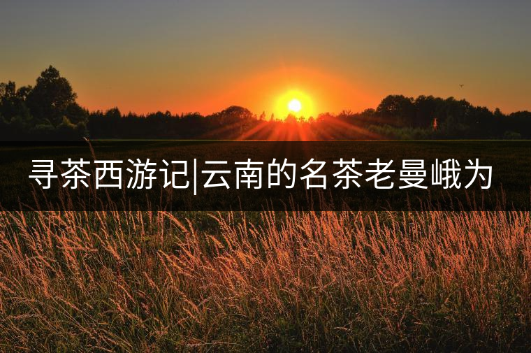 尋茶西游記|云南的名茶老曼峨為什么這么多人愛，這里...尋茶西游記｜云南的名茶老曼峨為什么這么多人愛，這里給你答案！