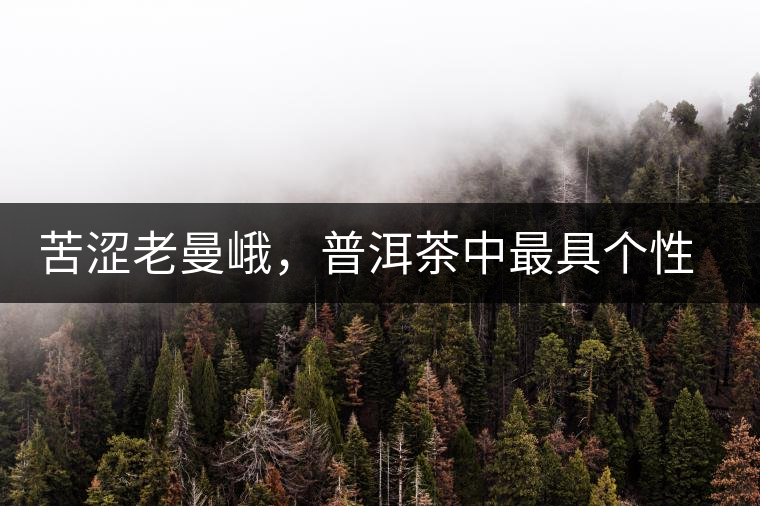 苦澀老曼峨，普洱茶中最具個性的“布朗味”苦澀老曼峨，普洱茶中最具個性的“布朗味”