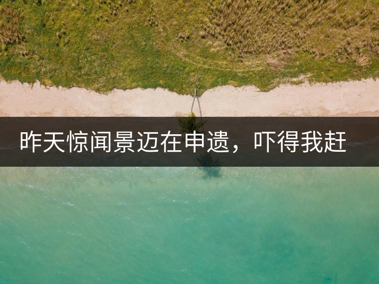 昨天驚聞景邁在申遺，嚇得我趕緊拿出景邁茶……昨天驚聞景邁在申遺，嚇得我趕緊拿出景邁茶……