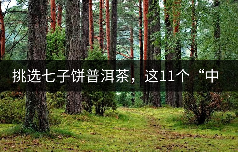 挑選七子餅普洱茶，這11個“中茶”標志千萬別弄混!挑選七子餅普洱茶，這11個“中茶”標志千萬別弄混！