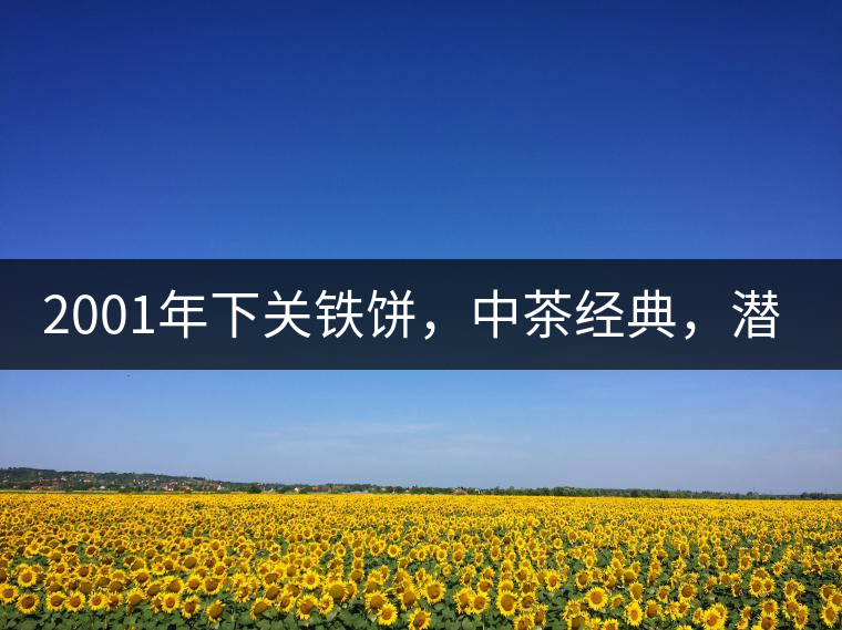 2001年下關(guān)鐵餅，中茶經(jīng)典，潛力可期!