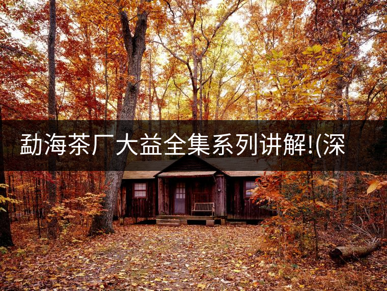 勐海茶廠大益全集系列講解!(深度講解大益茶品，建議收藏...勐海茶廠大益全集系列講解?。ㄉ疃戎v解大益茶品，建議收藏）