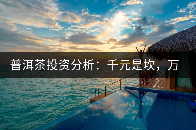 普洱茶投資分析：千元是坎，萬元是坑