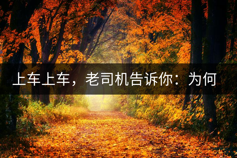 上車上車，老司機(jī)告訴你：為何明前茶貴如金