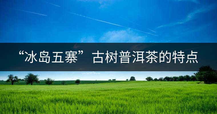 “冰島五寨”古樹(shù)普洱茶的特點(diǎn)及區(qū)別 “冰島五寨”古樹(shù)普洱茶的特點(diǎn)及區(qū)別