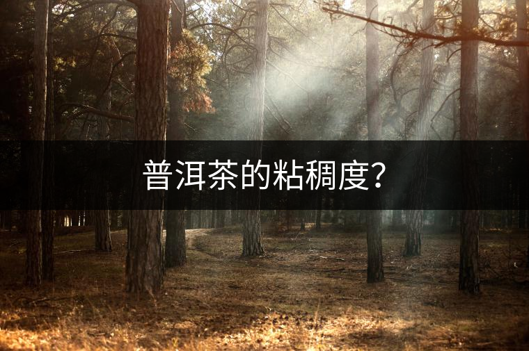 普洱茶的粘稠度？