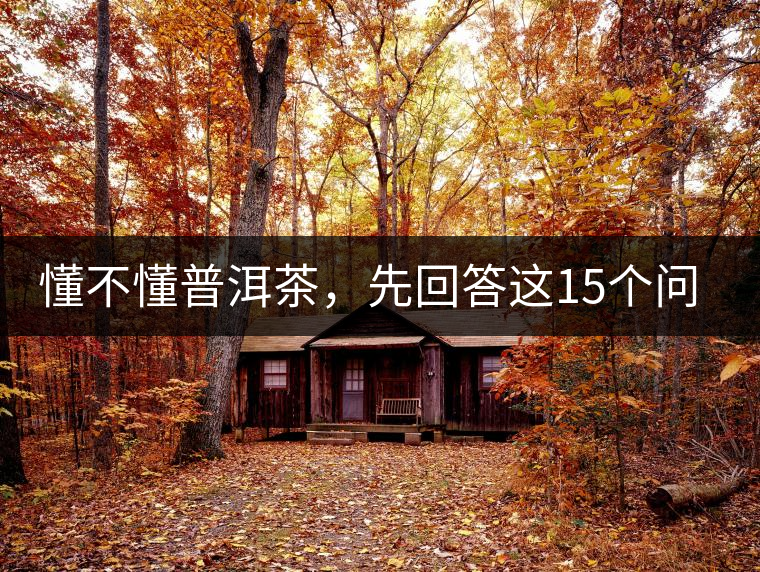 懂不懂普洱茶，先回答這15個(gè)問題試試？