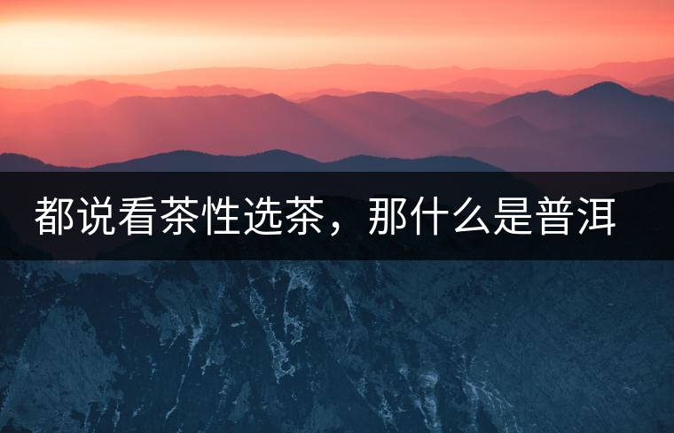 都說看茶性選茶，那什么是普洱茶的“茶性”呢？