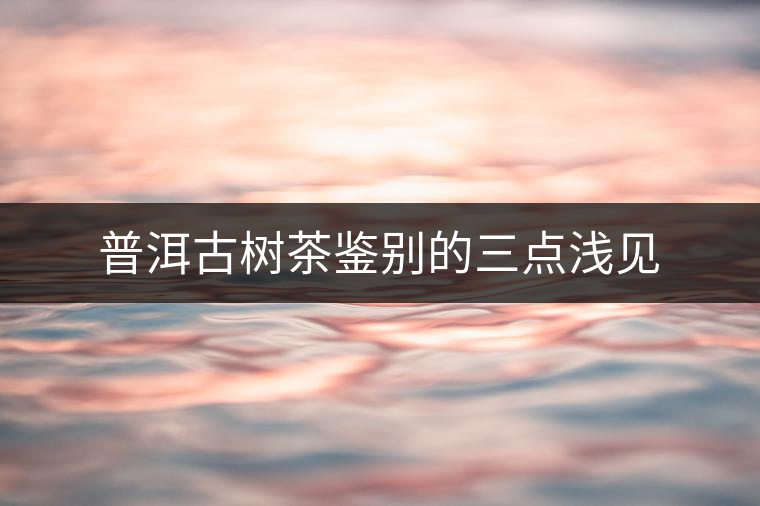 普洱古樹茶鑒別的三點(diǎn)淺見