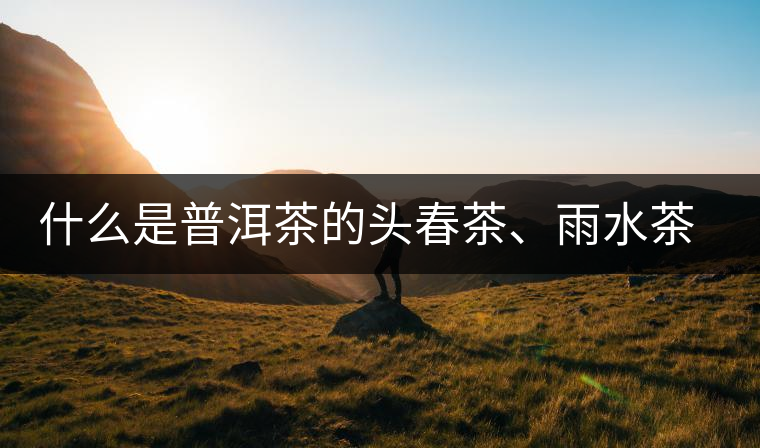 什么是普洱茶的頭春茶、雨水茶和谷花茶，怎樣區(qū)別？