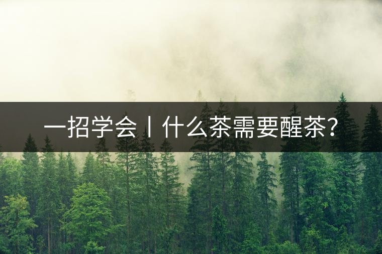 一招學會丨什么茶需要醒茶？