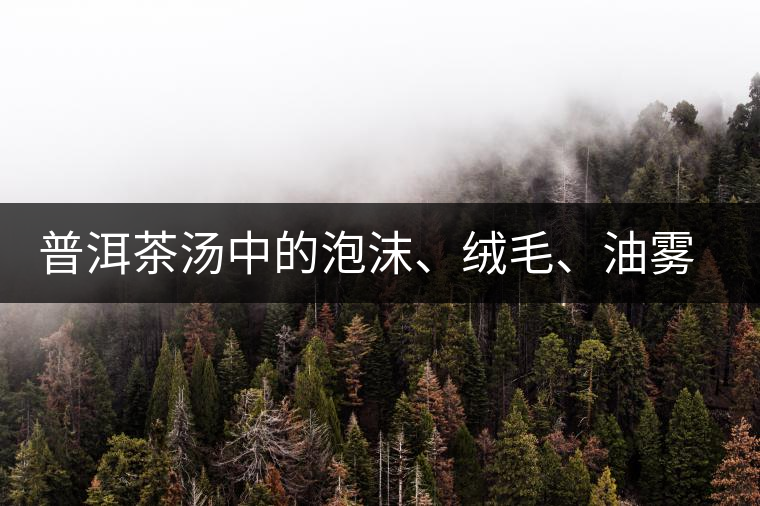 普洱茶湯中的泡沫、絨毛、油霧、絮狀物……原來是這些東西！