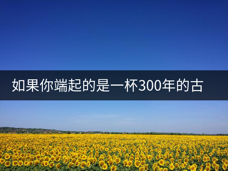 如果你端起的是一杯300年的古樹茶，那會(huì)是一種怎樣的心境？