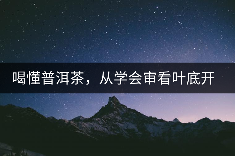 喝懂普洱茶，從學會審看葉底開始