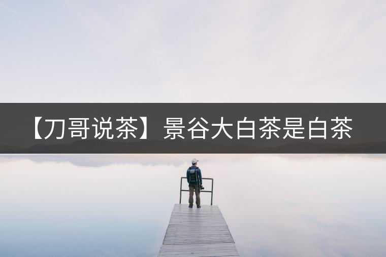 【刀哥說茶】景谷大白茶是白茶還是普洱茶？