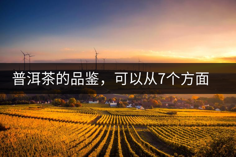 普洱茶的品鑒，可以從7個(gè)方面著手