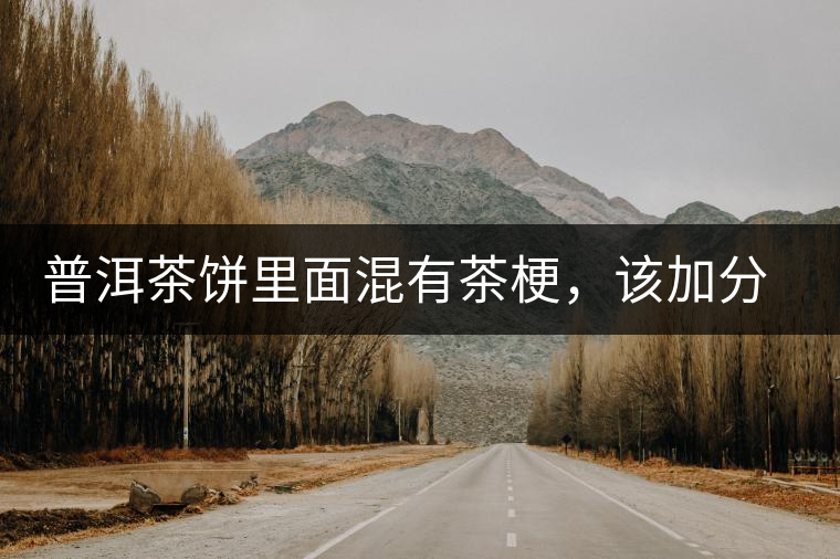 普洱茶餅里面混有茶梗，該加分還是減分？