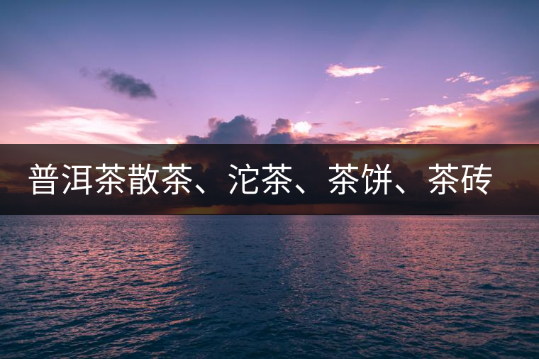 普洱茶散茶、沱茶、茶餅、茶磚哪種更好？